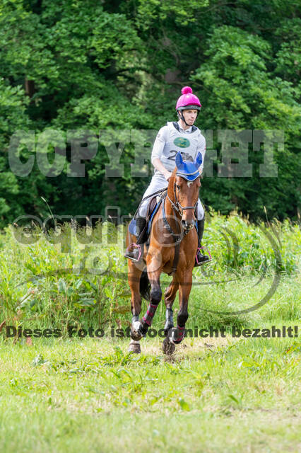 Westerstede Horse Trials 2021