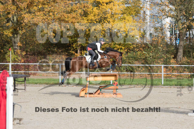IGV Lehrgang der Sieger der Cups mit Frank Ostholt