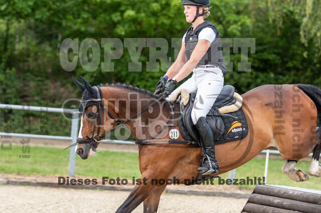 Late-Entry-Vielseitigkeit Langenfeld (11.+13./14.06.2020)