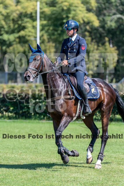 Kronenberg - De Peelbergen (August 2020)