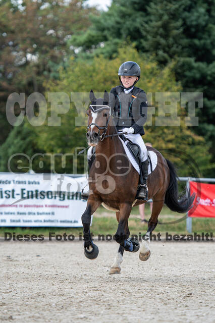 Landesturnier Rheinland, Vielseitigkeit, 22.+23.08.2020