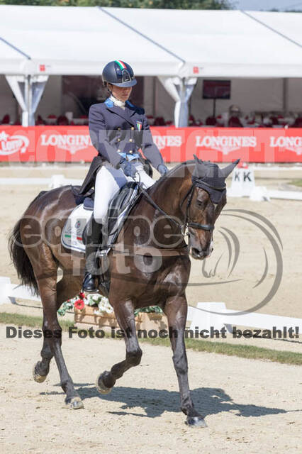 FEI European Championship