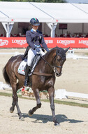 FEI European Championship