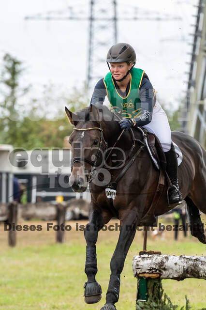 Vielseitigkeit RSV Wesel Obrighoven (26.+27.09.2020)