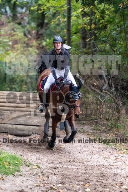 Goldene Schärpe 2020 - Pferde