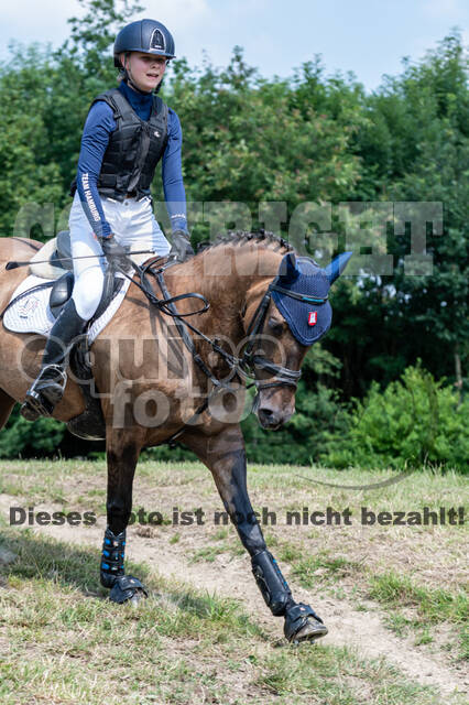 Goldene Schärpe 2021 - Ponys