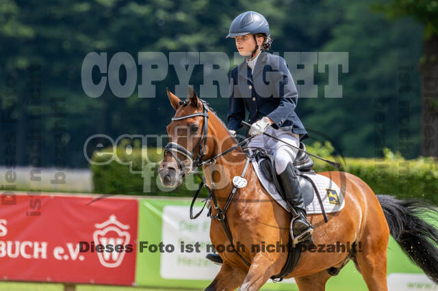 Goldene Schärpe 2021 - Ponys