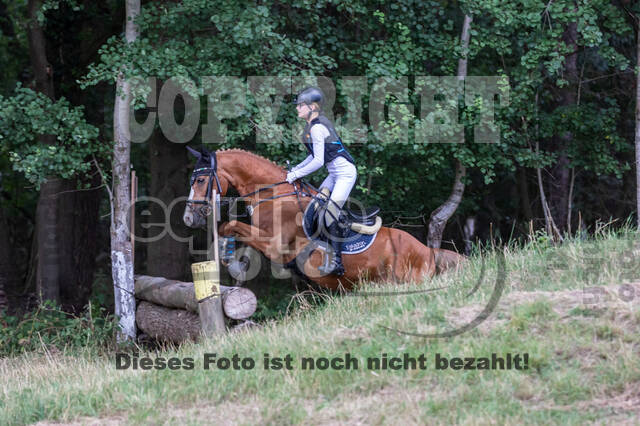 Late-Entry Vielseitigkeit Hamminkeln/Wesel (01.+02.08.2020)