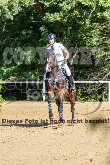 RFV Dinslaken-Hiesfeld (Herbstturnier)