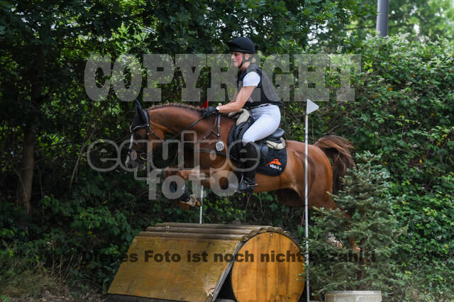 Late-Entry-Vielseitigkeit Langenfeld (11.+13./14.06.2020)