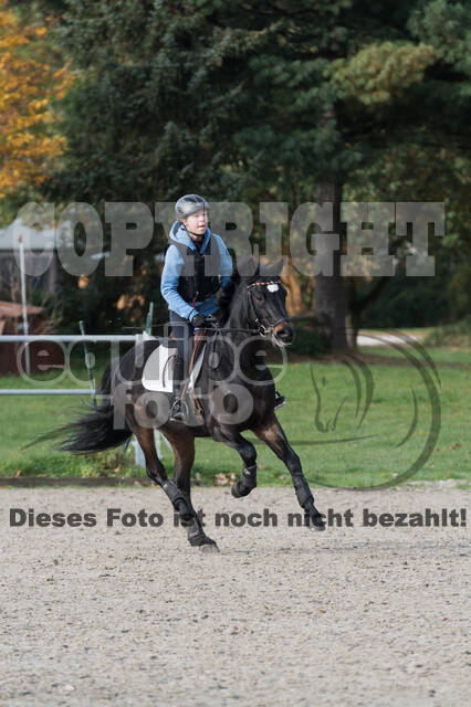 IGV Lehrgang der Sieger der Cups mit Frank Ostholt