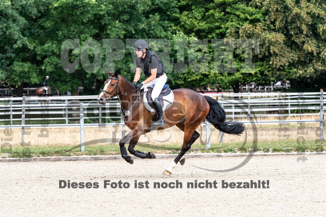 Late-Entry-Vielseitigkeit Langenfeld (11.+13./14.06.2020)