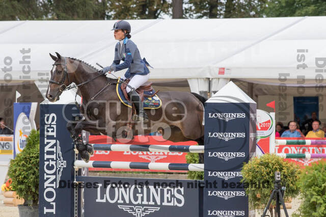 FEI European Championship