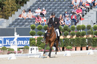 FEI European Championship Eventing 2019
