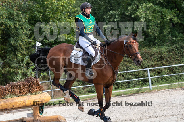 Landesturnier Rheinland, Vielseitigkeit, 22.+23.08.2020