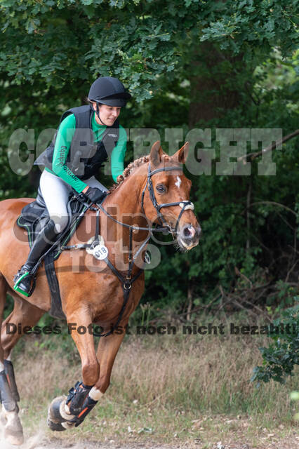 Late-Entry-Vielseitigkeit Langenfeld (11.+13./14.06.2020)