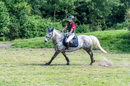 Goldene Schärpe 2021 - Ponys