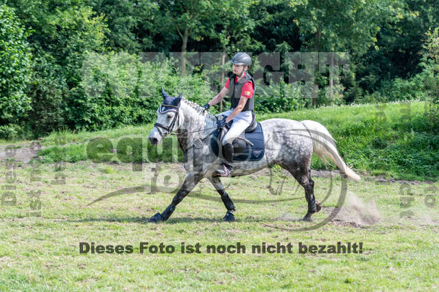 Goldene Schärpe 2021 - Ponys