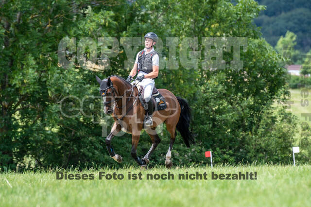 Bonn-Rodderberg Late-Entry-Vielseitigkeit (30.06.2020)