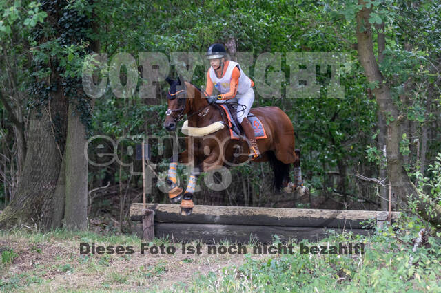 Late-Entry Vielseitigkeit Hamminkeln/Wesel (01.+02.08.2020)