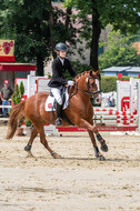 Goldene Schärpe 2021 - Ponys