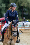 Goldene Schärpe 2021 - Ponys