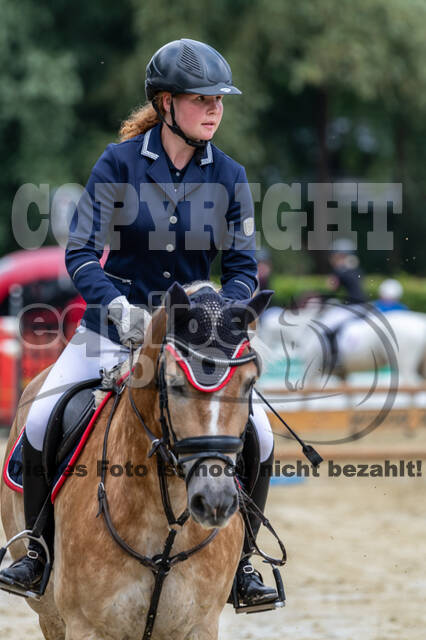 Goldene Schärpe 2021 - Ponys