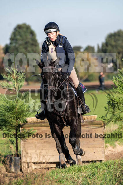 Vielseitigkeitslehrgang mit Jürg Kurbel (9.+10.11.2019)