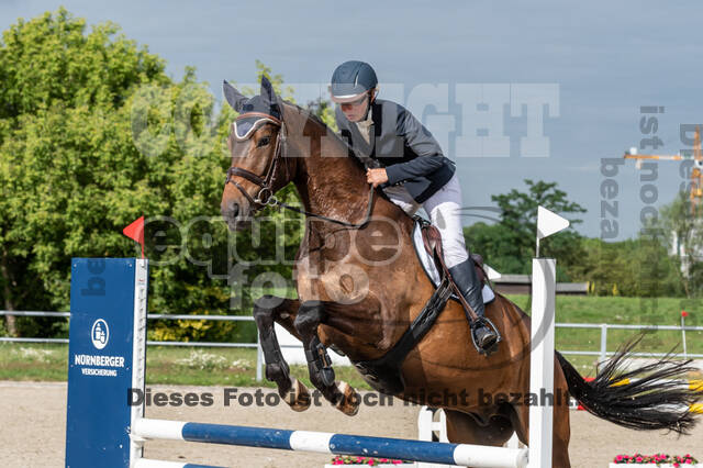 Late-Entry-Vielseitigkeit Langenfeld (06.+07.07.2020)