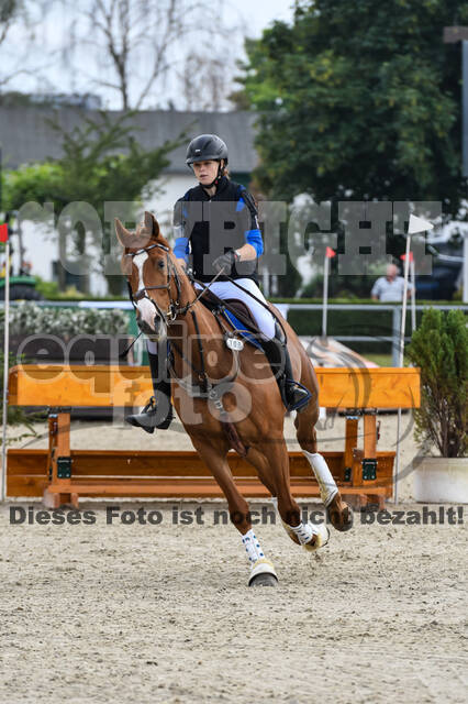 Late-Entry-Vielseitigkeit Langenfeld (11.+13./14.06.2020)