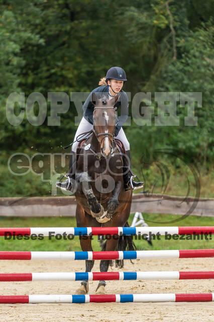 Vielseitigkeit RSV Wesel Obrighoven (26.+27.09.2020)