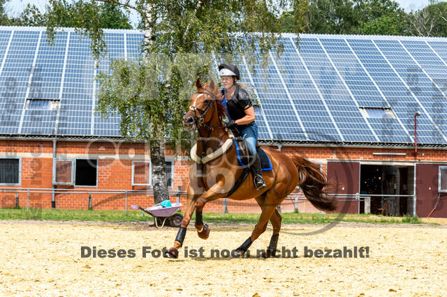 Hunter Geländetraining 10.07.2021 (Sonsbeck)