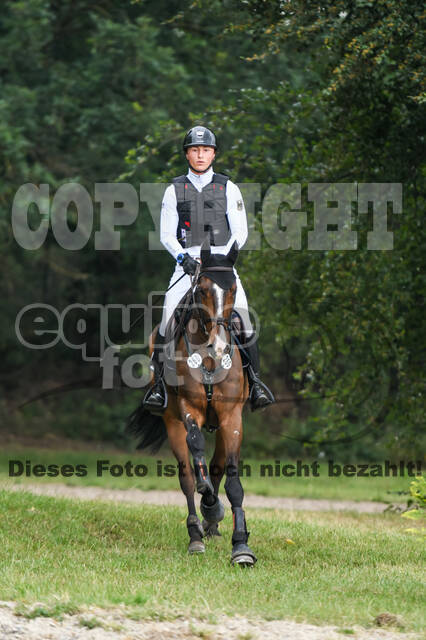 Late-Entry-Vielseitigkeit Langenfeld (11.+13./14.06.2020)