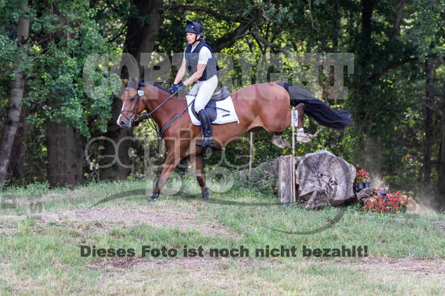 Late-Entry Vielseitigkeit Hamminkeln/Wesel (01.+02.08.2020)