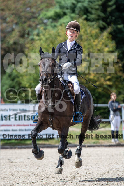 Landesturnier Rheinland, Vielseitigkeit, 22.+23.08.2020