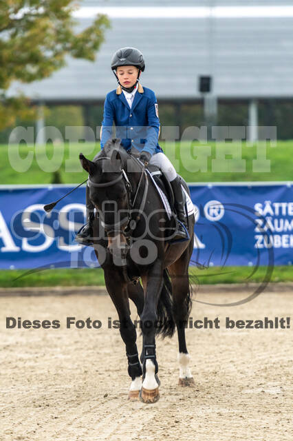 Goldene Schärpe 2020 - Pferde