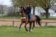 Geländetraining ZRFV Hamminkeln (24+25.04.2021)