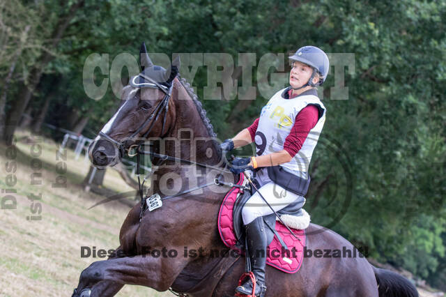 Late-Entry Vielseitigkeit Hamminkeln/Wesel (01.+02.08.2020)