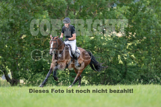 Bonn-Rodderberg Late-Entry-Vielseitigkeit (30.06.2020)