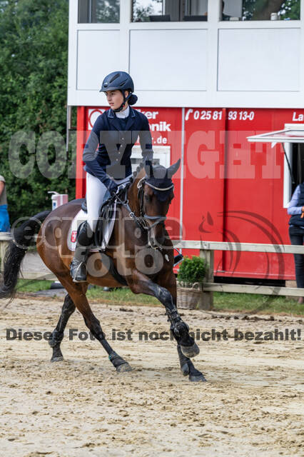 Goldene Schärpe 2021 - Ponys