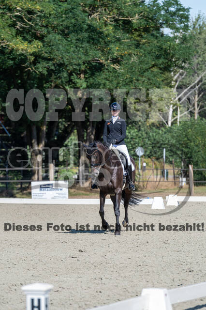 Kronenberg - De Peelbergen (August 2020)