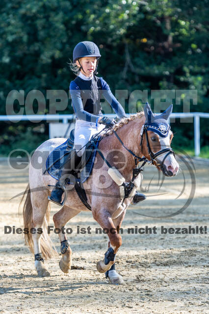 RFV Dinslaken-Hiesfeld (Herbstturnier)
