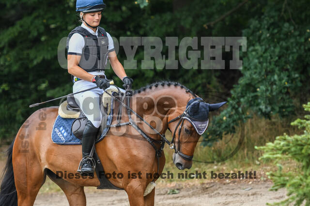 Late-Entry-Vielseitigkeit Langenfeld (11.+13./14.06.2020)