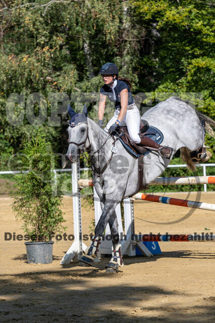 RFV Dinslaken-Hiesfeld (Herbstturnier)