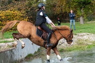IGV Lehrgang der Sieger der Cups mit Frank Ostholt