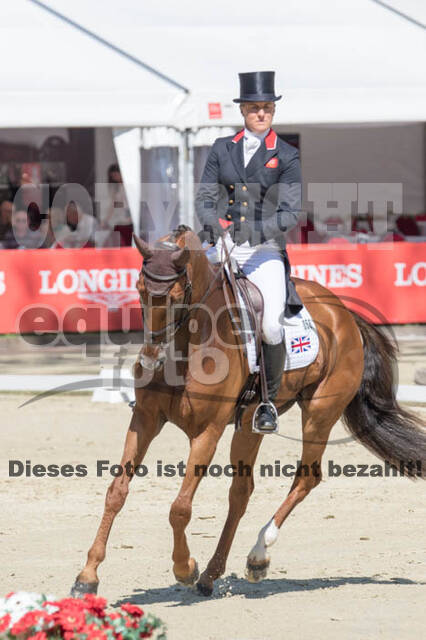FEI European Championship Eventing 2017