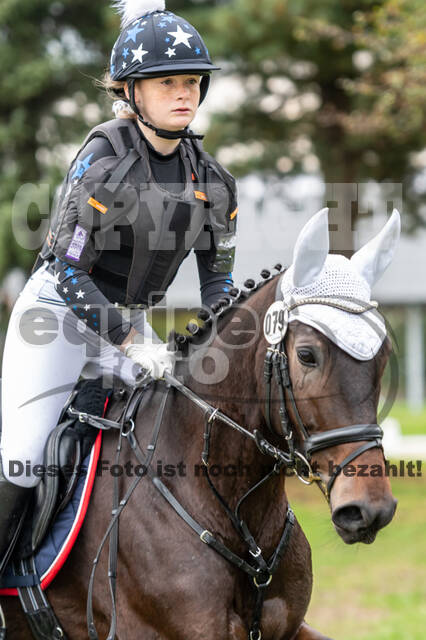 Goldene Schärpe 2020 - Pferde