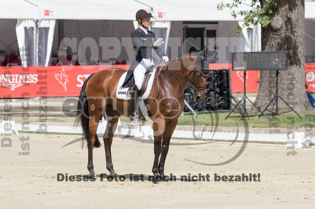 FEI European Championship Eventing 2017