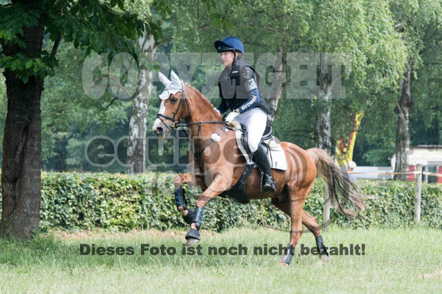 RFV Bad Honnef
