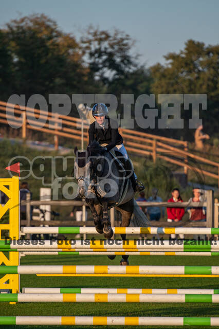De Peelbergen (August 2020)
